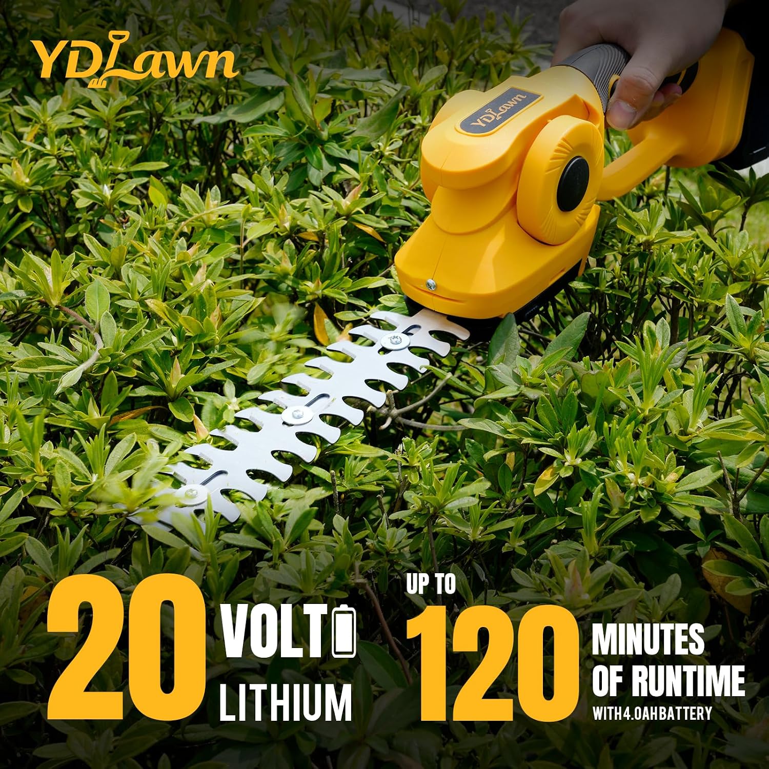 Pemangkas pagar dan rumput tan - Cordless Hedge Trimmer Pole 2 In 1 ulasan dan harga
